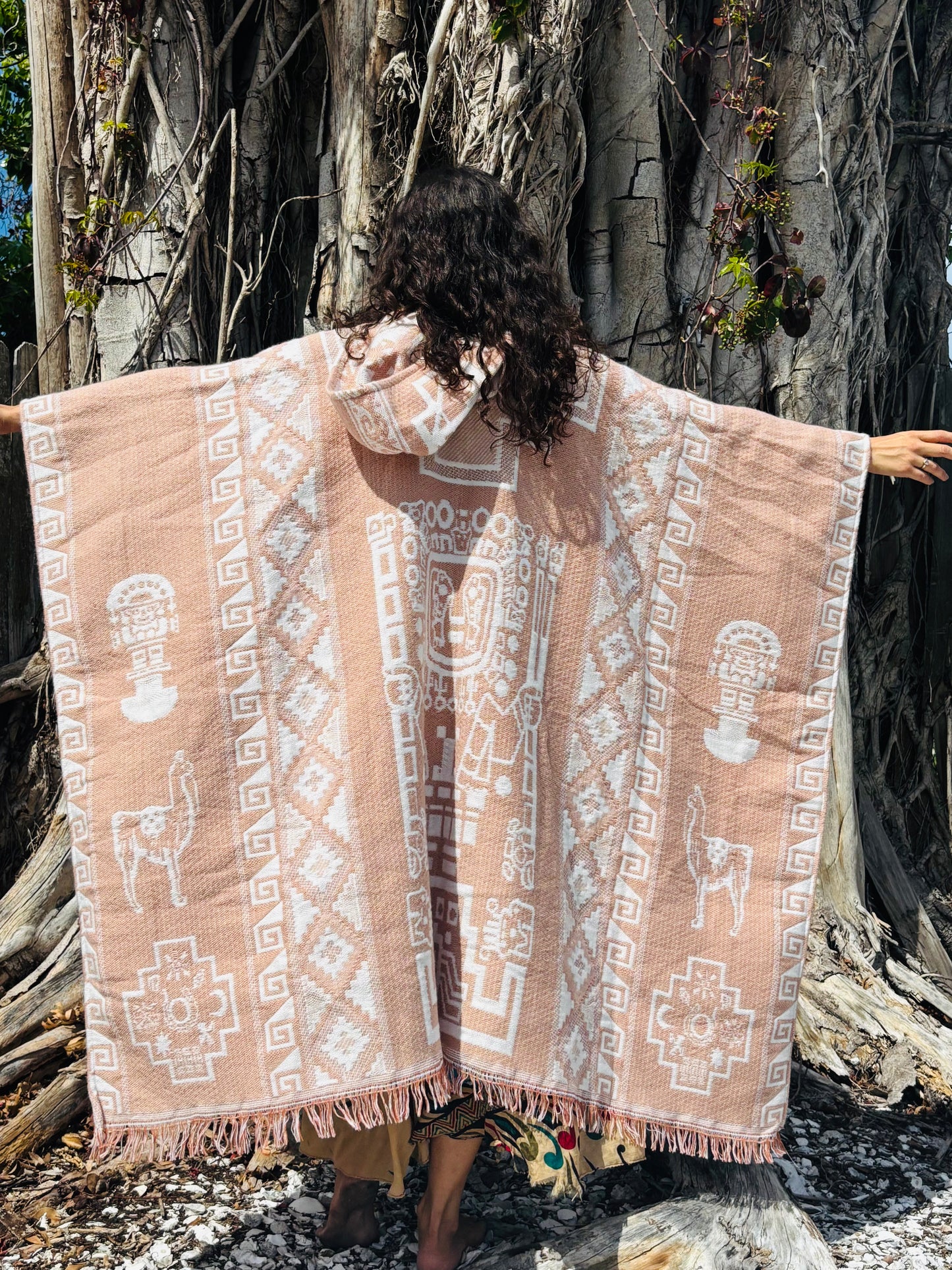 Incan Sun God ~ Inti ~ Poncho