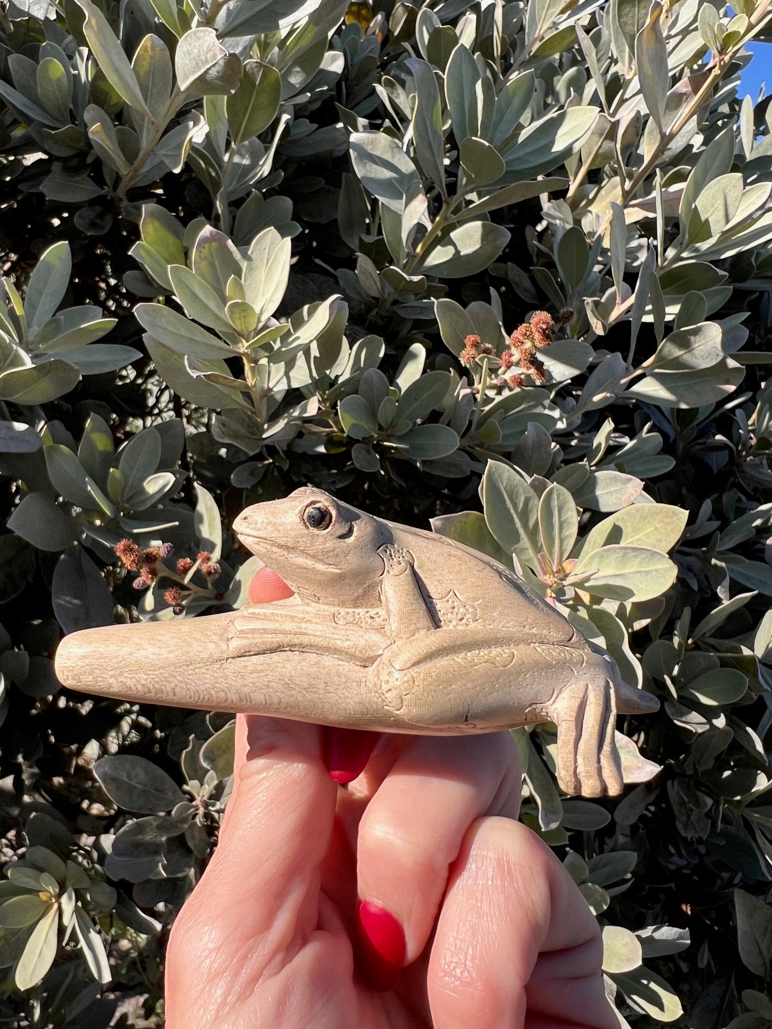 Hand Carved Kambo Frog Kuripe - Katukina.US KAT1303