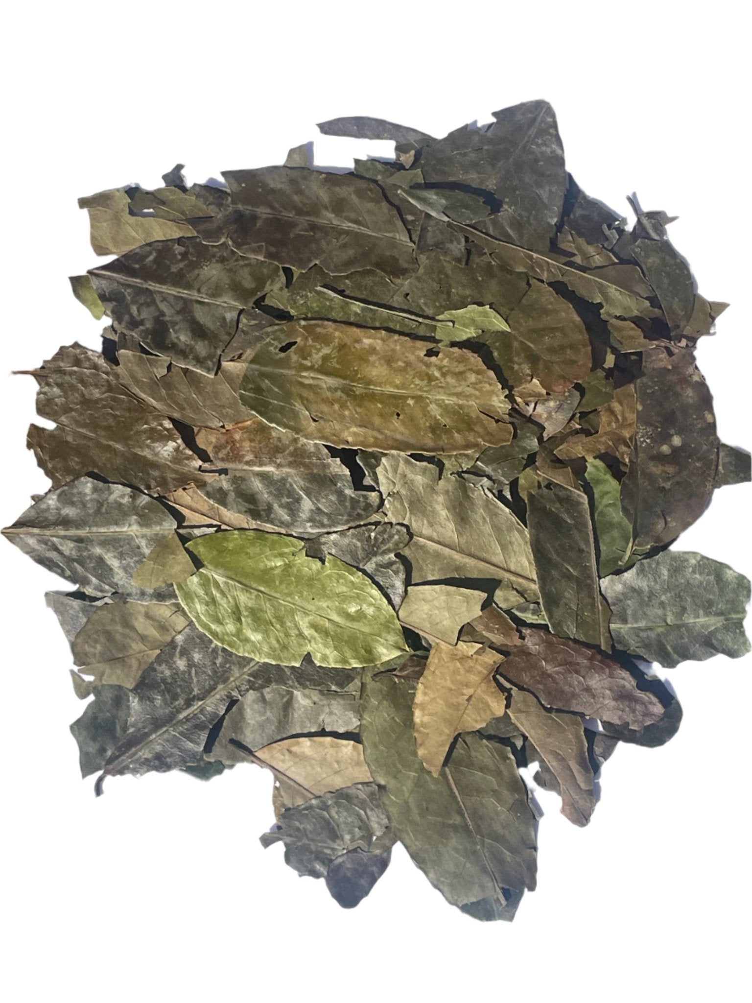 Organic Whole Leaf Guayusa Tea by Teaception - Katukina KAT2089